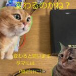 『アンプで音質は変わらない』は本当か？保存版